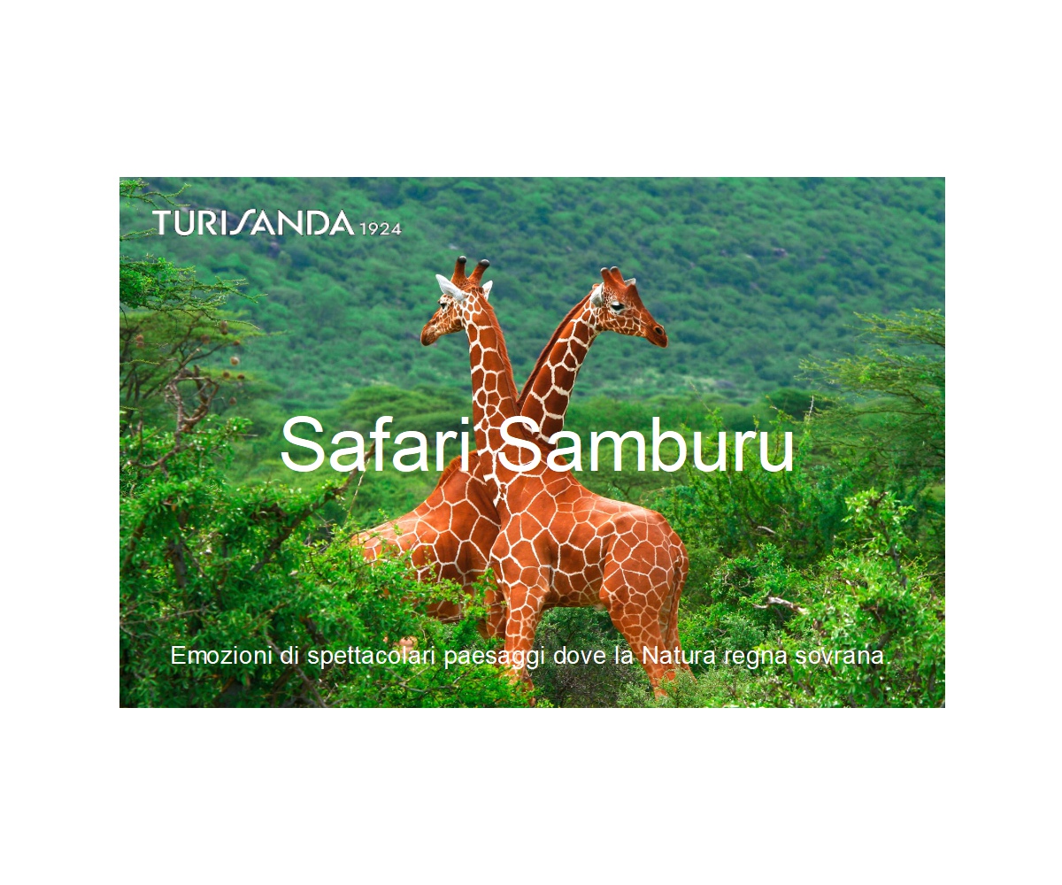 Safari: tutte le proposte per viaggi organizzati Turisanda